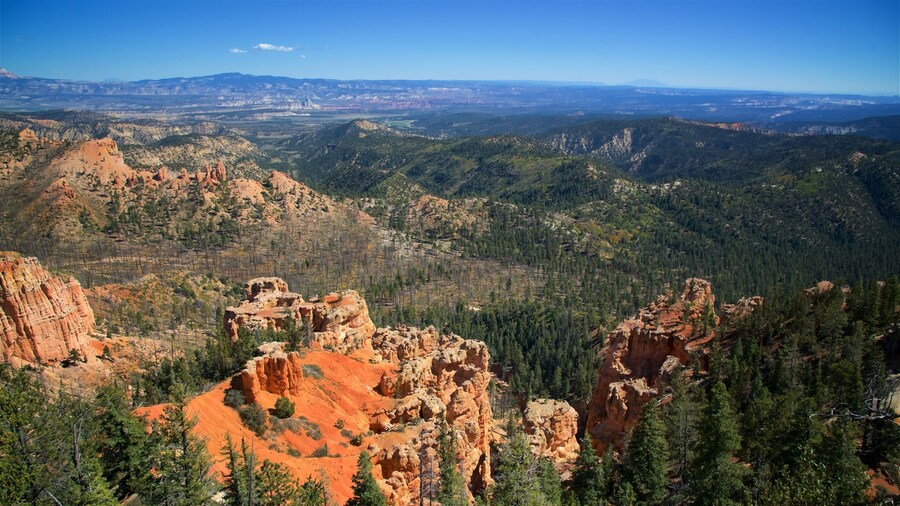 ブライス キャニオン国立公園 どの含み 静かな風景, 砂漠の眺め と 渓谷あるいは峡谷