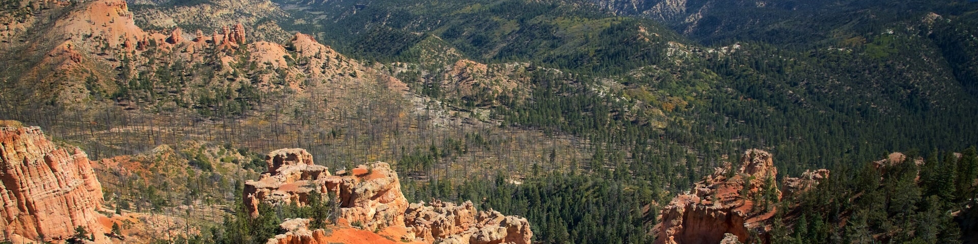 Parc national de Bryce Canyon