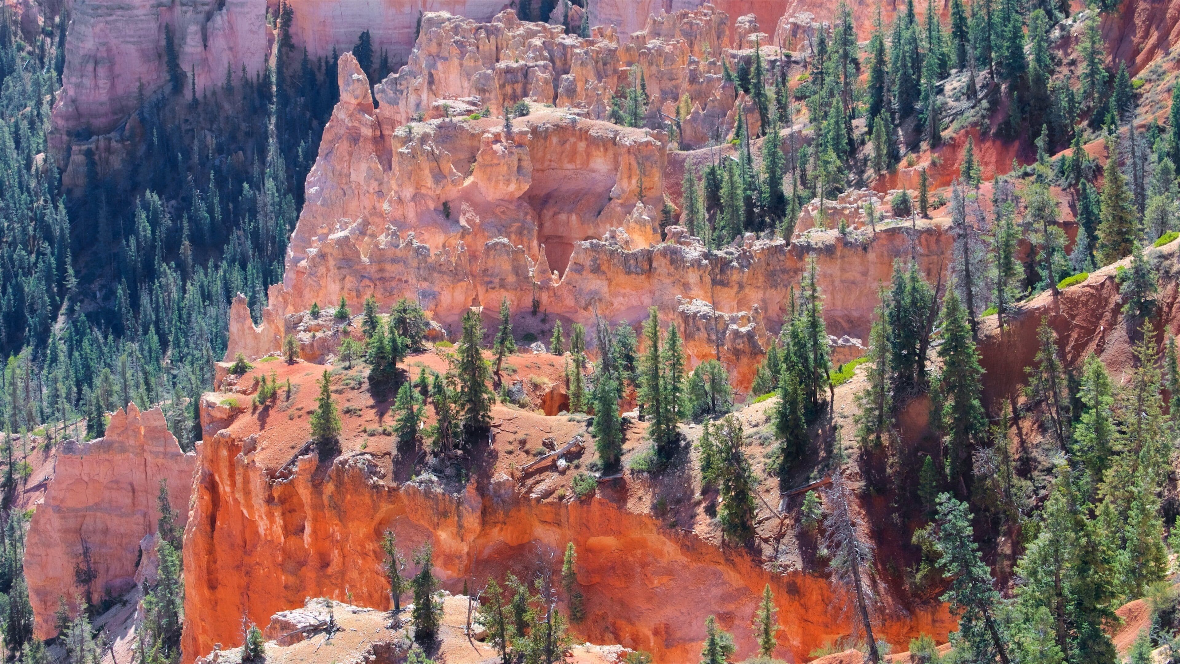 Bryce Canyon National Park featuring tranquil scenes, desert views and a gorge or canyon