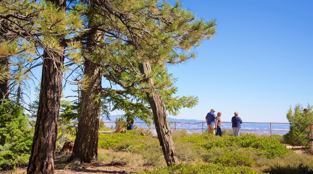 Piracy Point featuring views as well as a small group of people