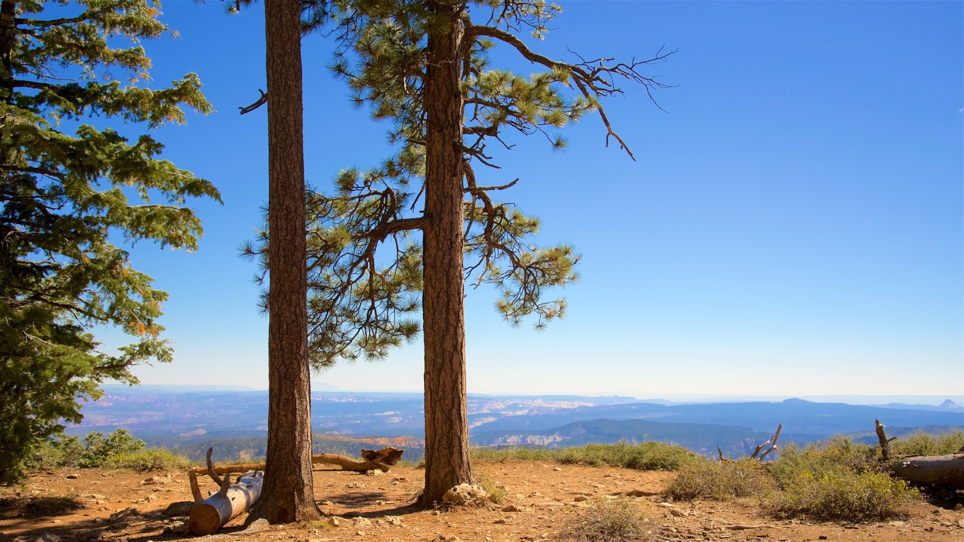 Tropic qui includes scènes tranquilles et vues du désert