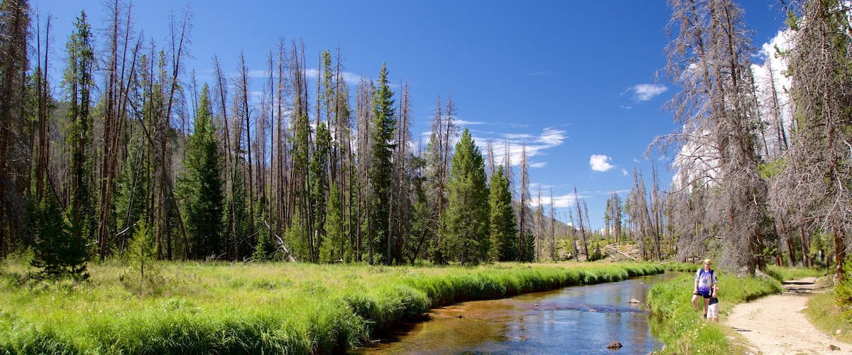 Estes Park toont vredige uitzichten, hiken of wandelen en een rivier of beek