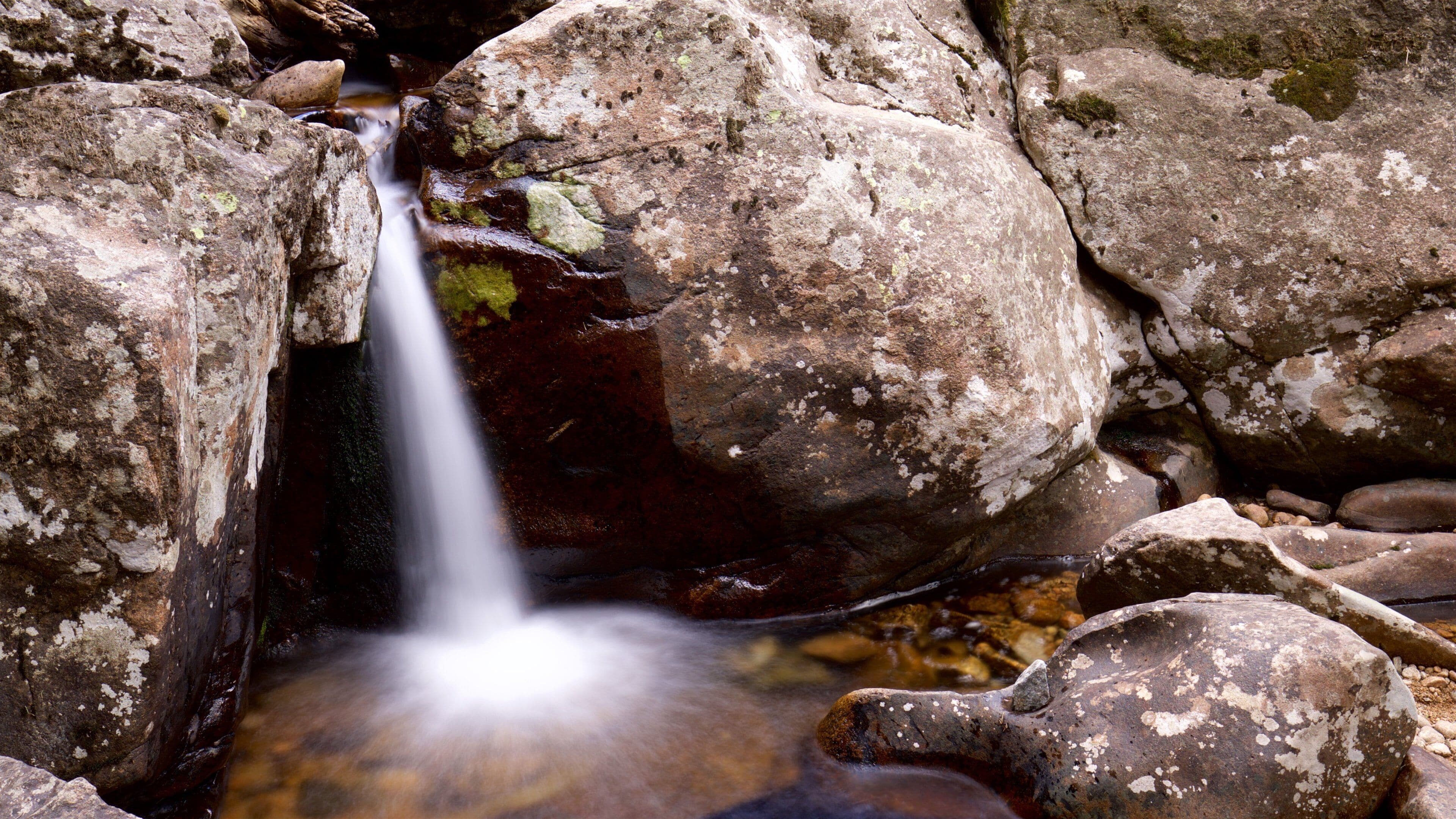 Estes Park showing a river or creek