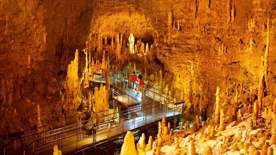 Okinawa som visar en bro, grottor och grottutforskning