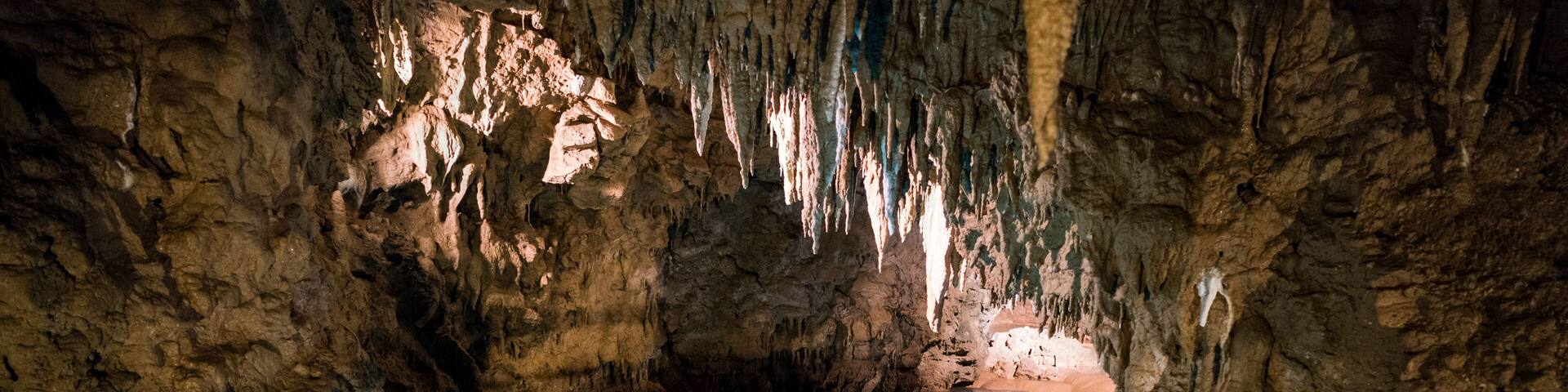 Una cueva con estalactitas, un estanque de agua y un primer plano rocoso.