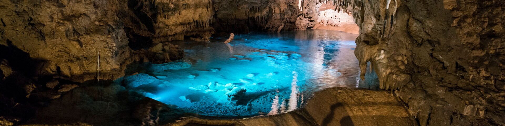 Una cueva con estalactitas, un estanque de agua y un primer plano rocoso.