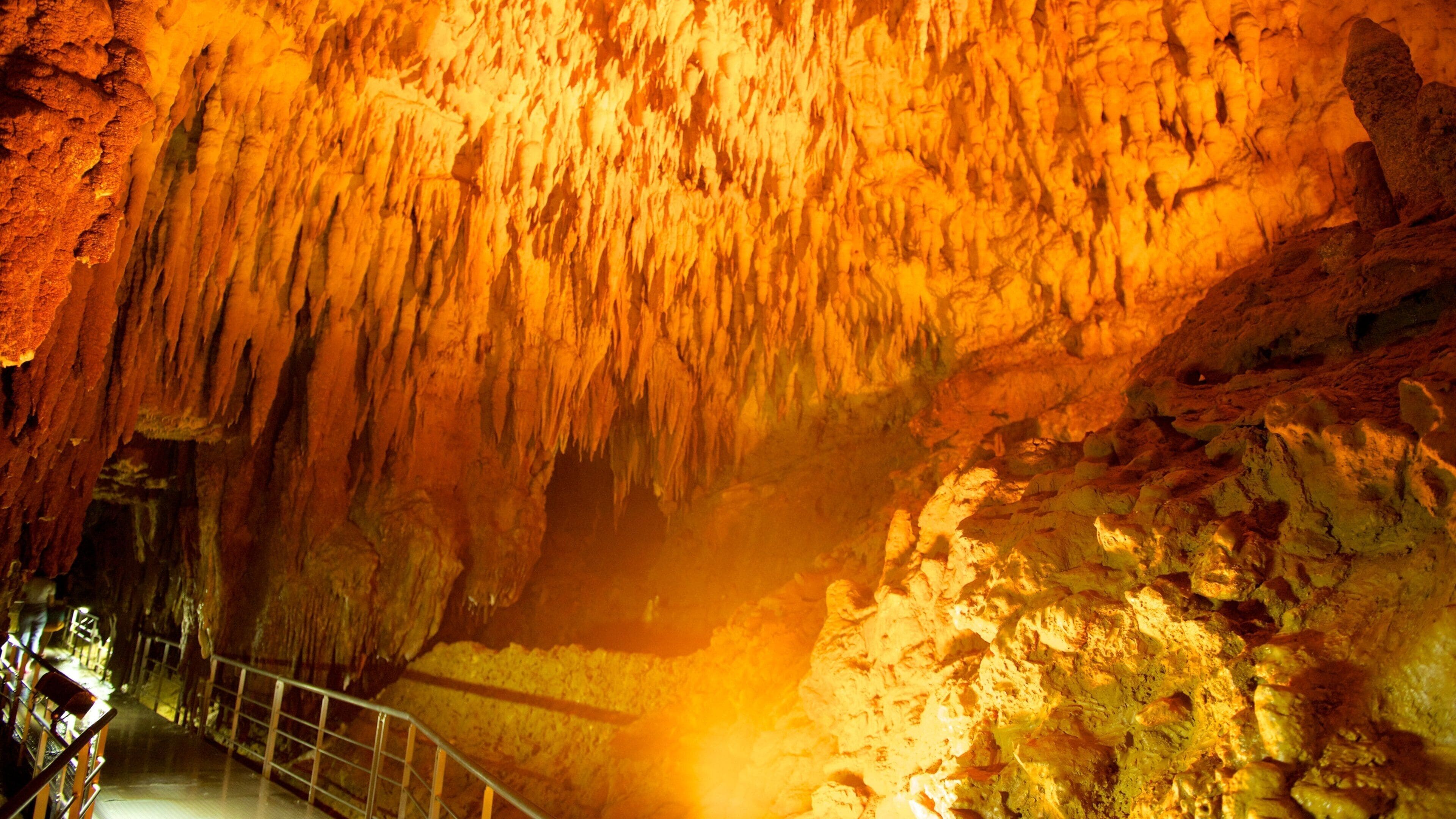 A cave with stalactites and a metal railing.