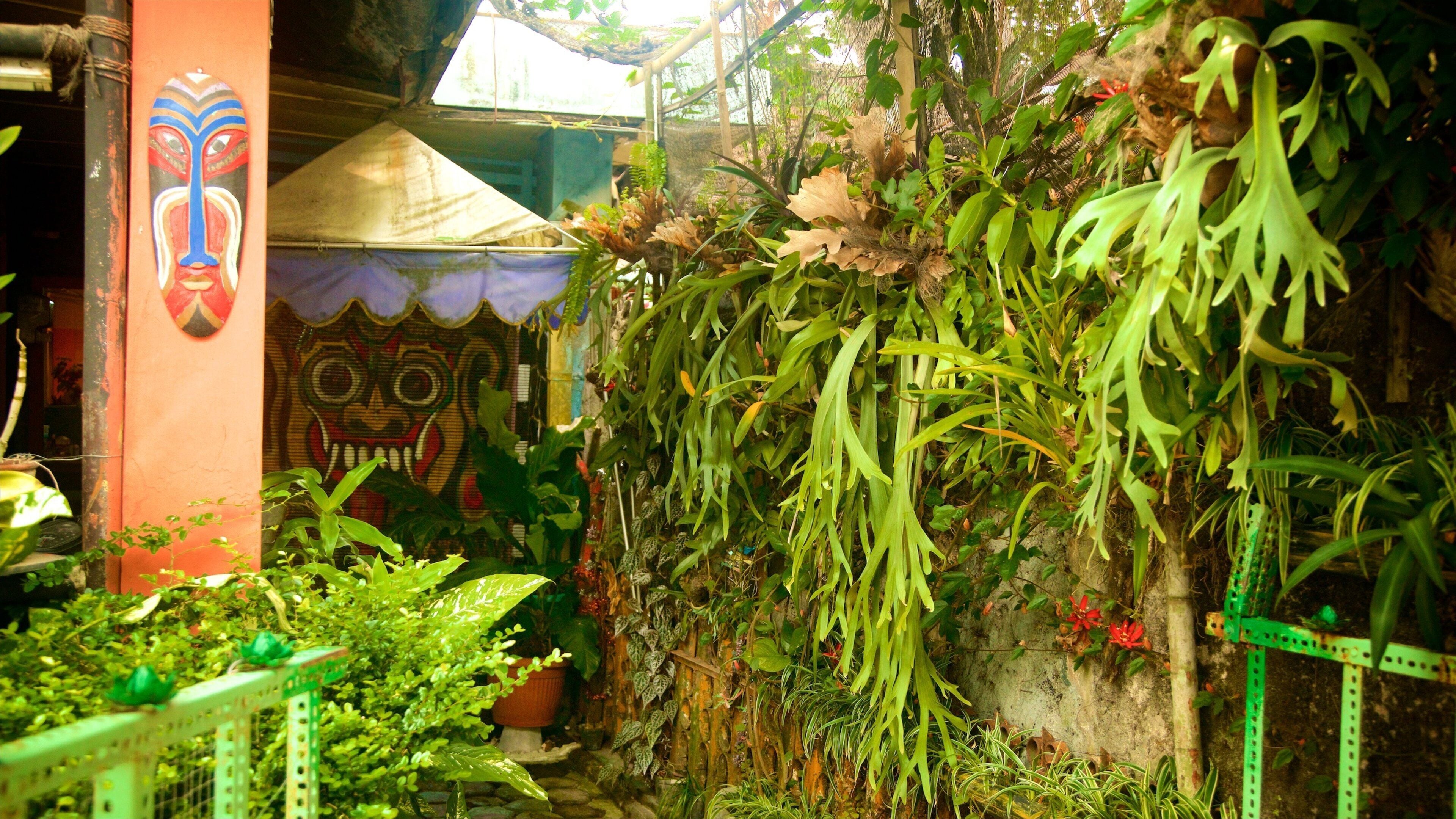 Kampoeng Cyber showing a park