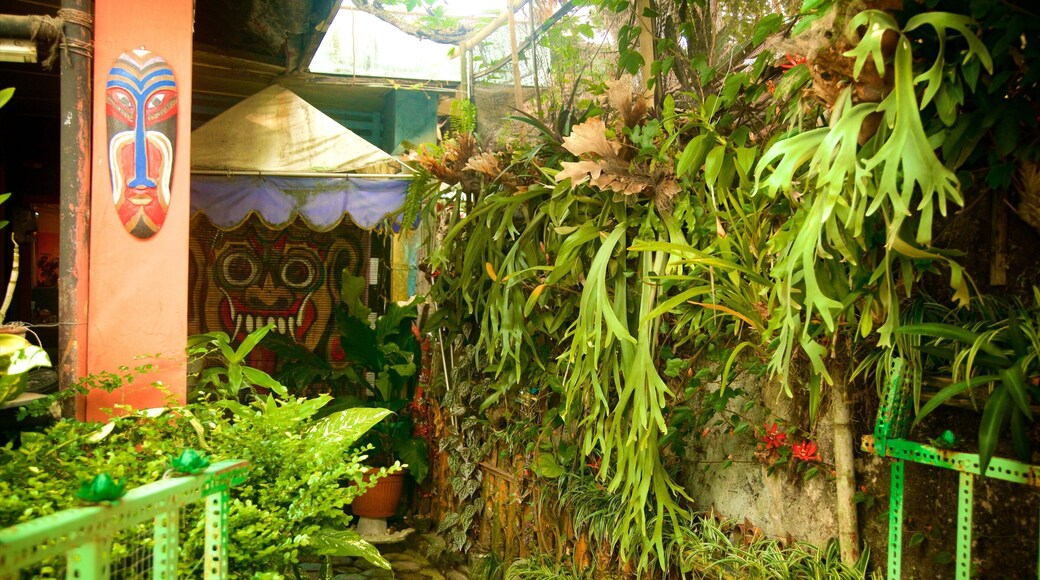 Kampoeng Cyber showing a park