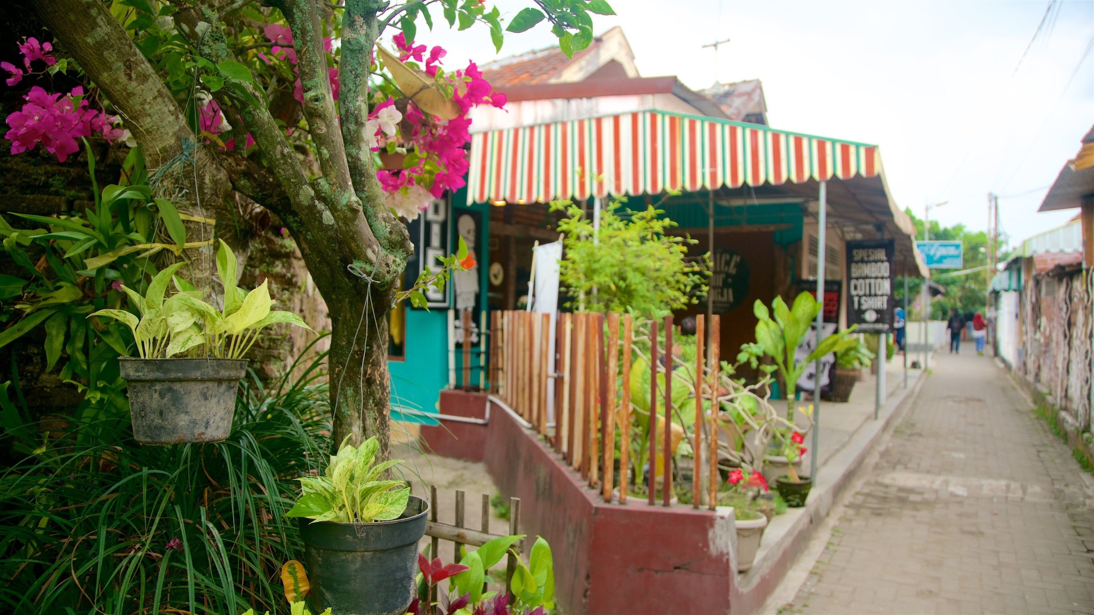 Kampoeng Cyber featuring wildflowers