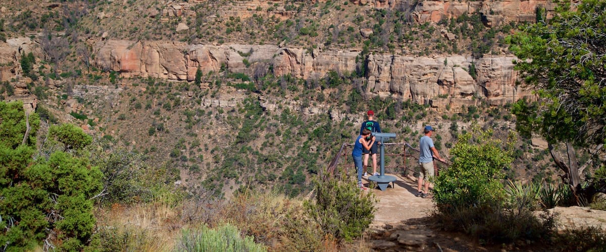 Soda Canyon Overlook Trail