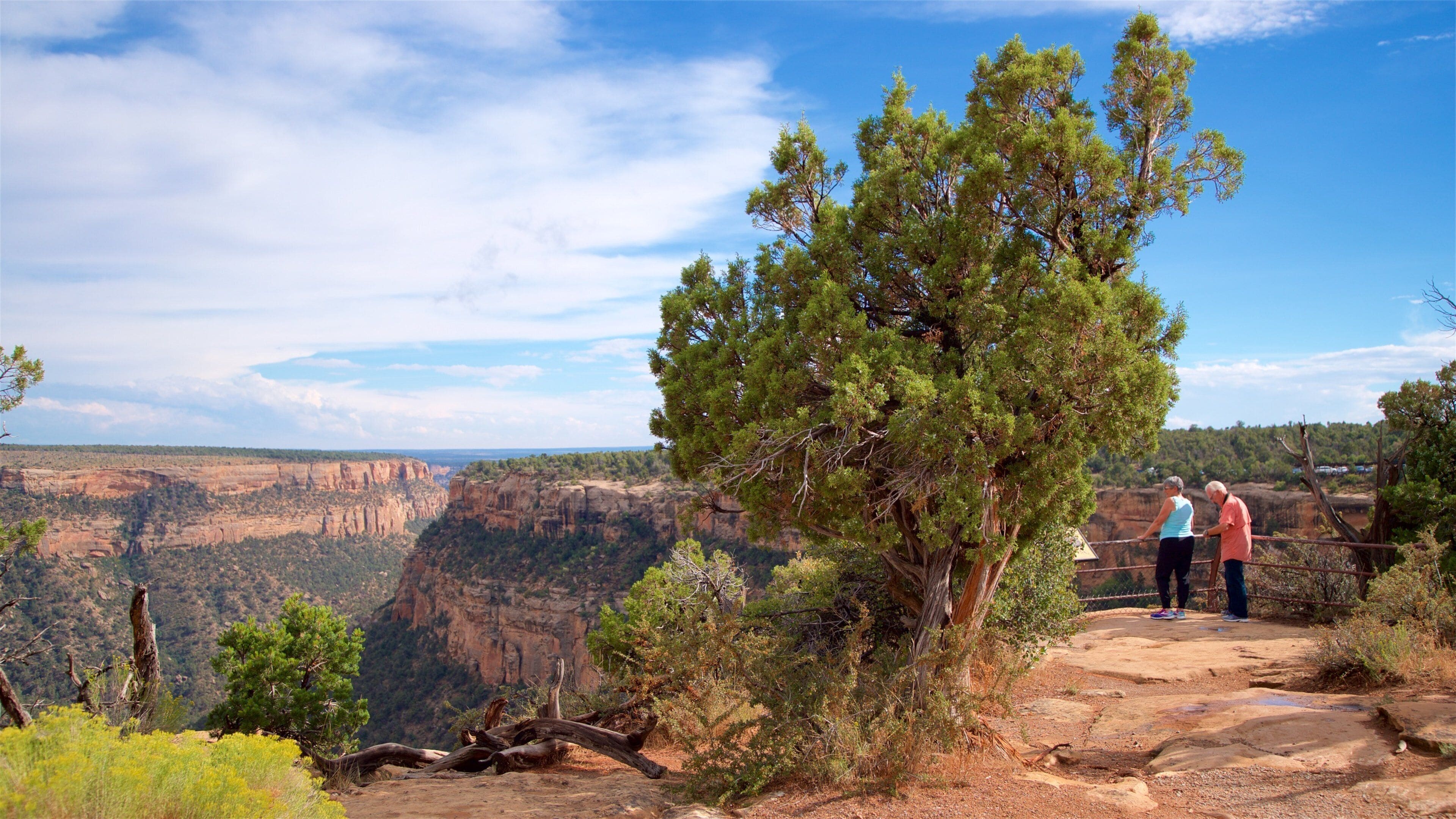 Soda Canyon Overlook Trail which includes a gorge or canyon and views as well as a couple