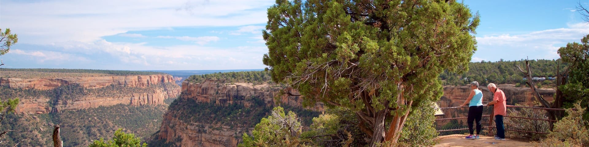Soda Canyon Overlook Trail which includes a gorge or canyon and views as well as a couple