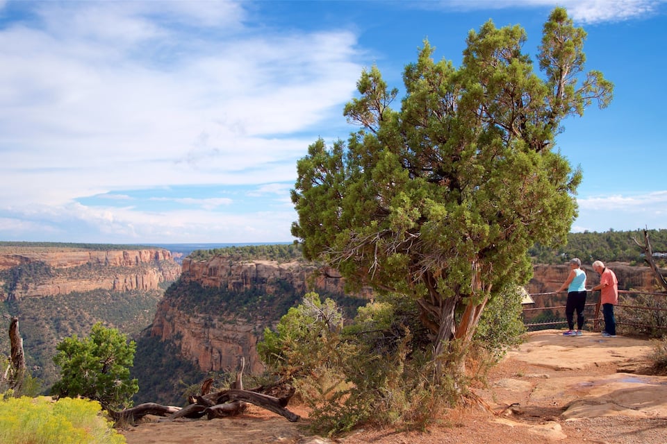 A canyon with a prominent tree in the foreground and two people standing on a viewing platform.