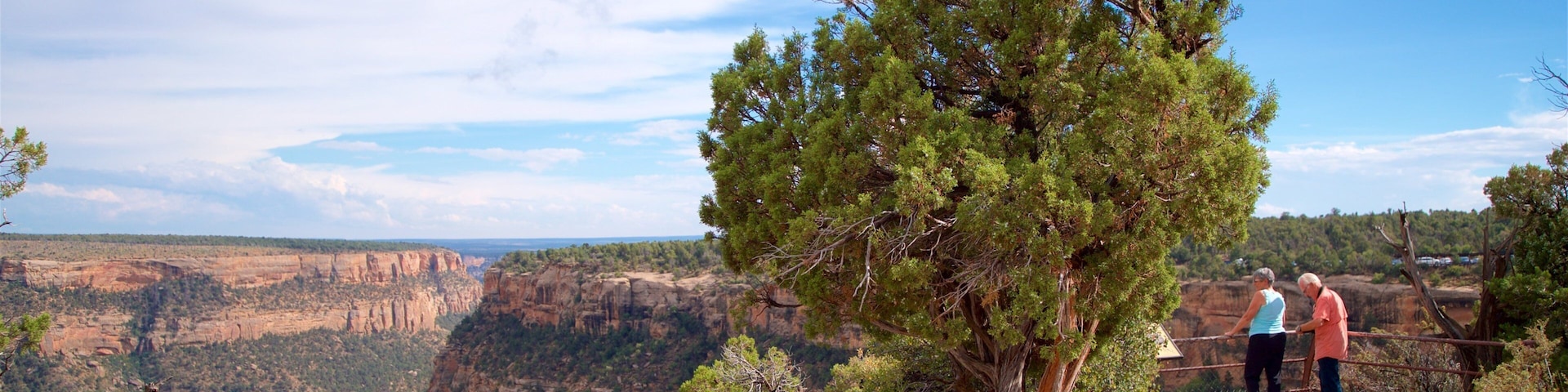 Soda Canyon Overlook Trail which includes a gorge or canyon and views as well as a couple