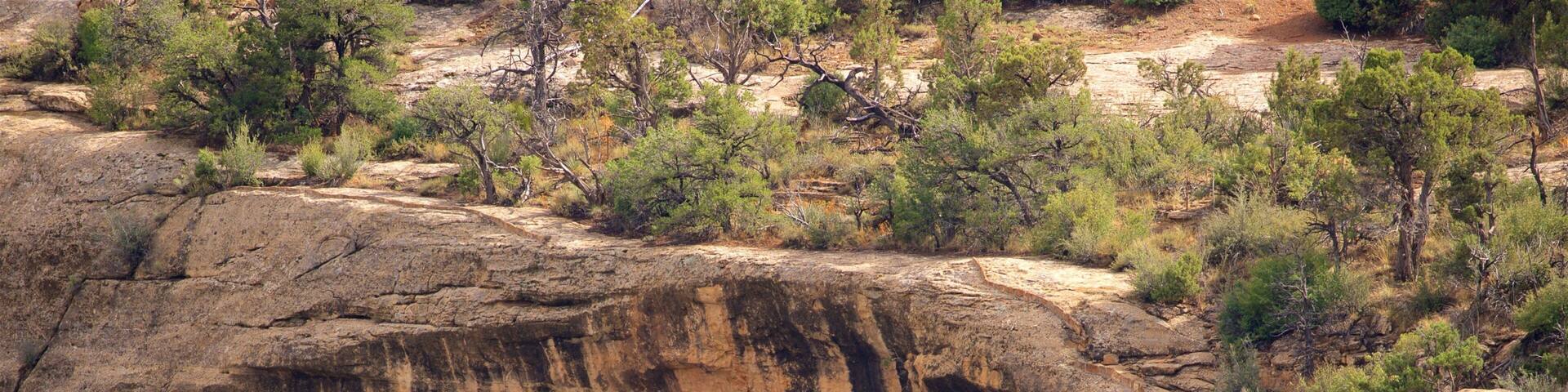 An ancient cliff dwelling with a group of people inside.