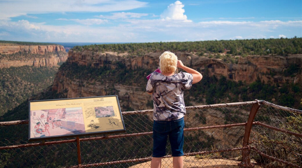 Mesa Verde National Park som omfatter skiltning, fredfyldte omgivelser og udsigt over landskaber