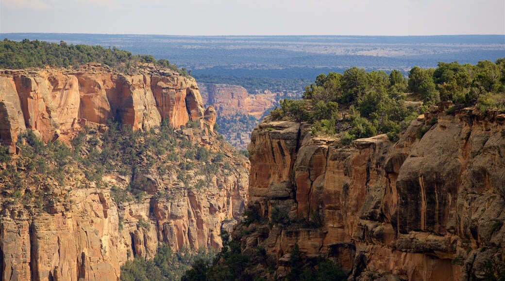 Soda Canyon Overlook Trail