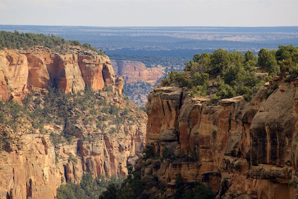 Soda Canyon Overlook Trail