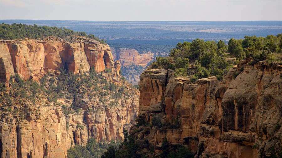 Soda Canyon Overlook Trail