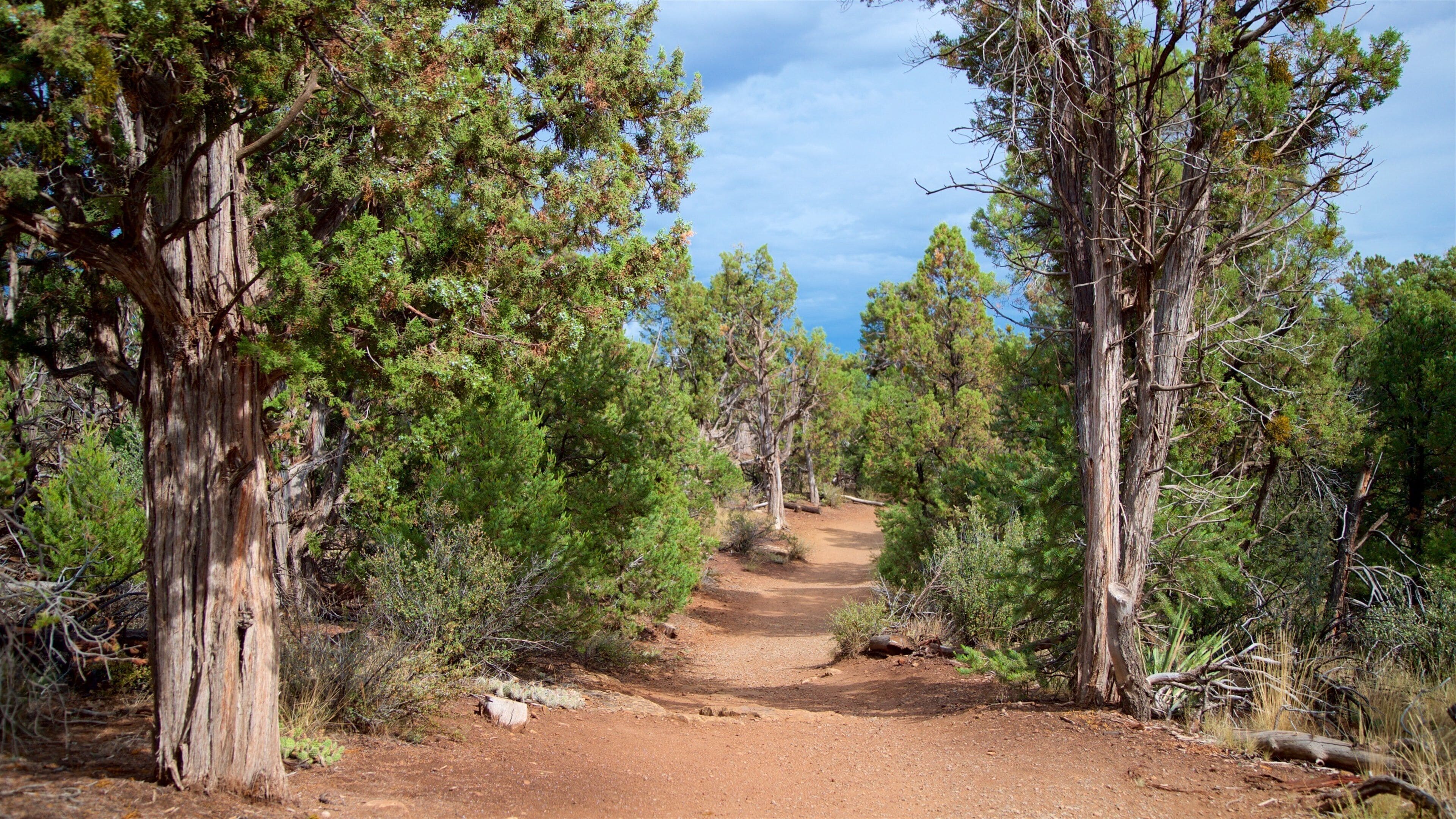 Soda Canyon Overlook Trail