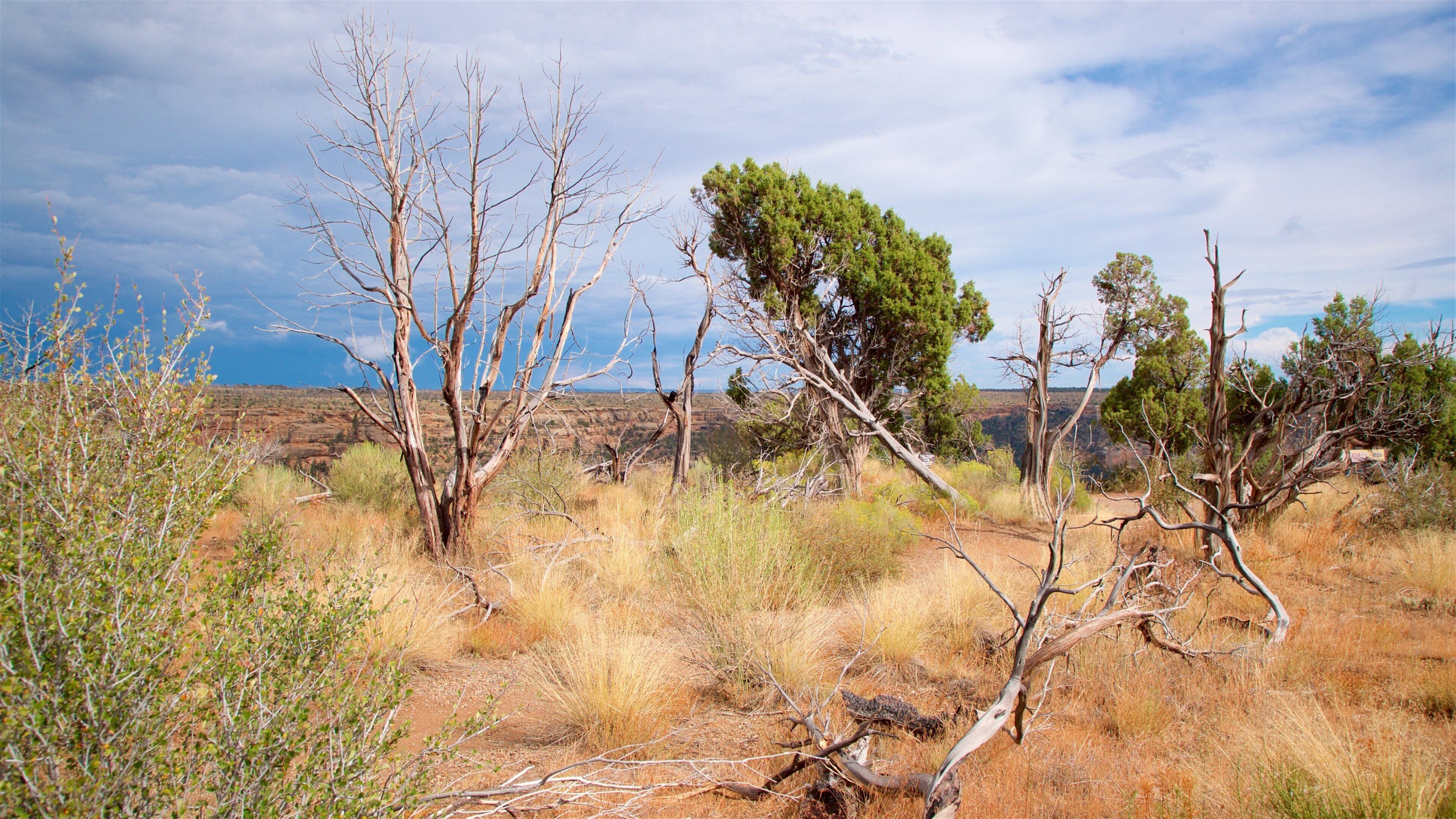 Soda Canyon Overlook Trail featuring desert views