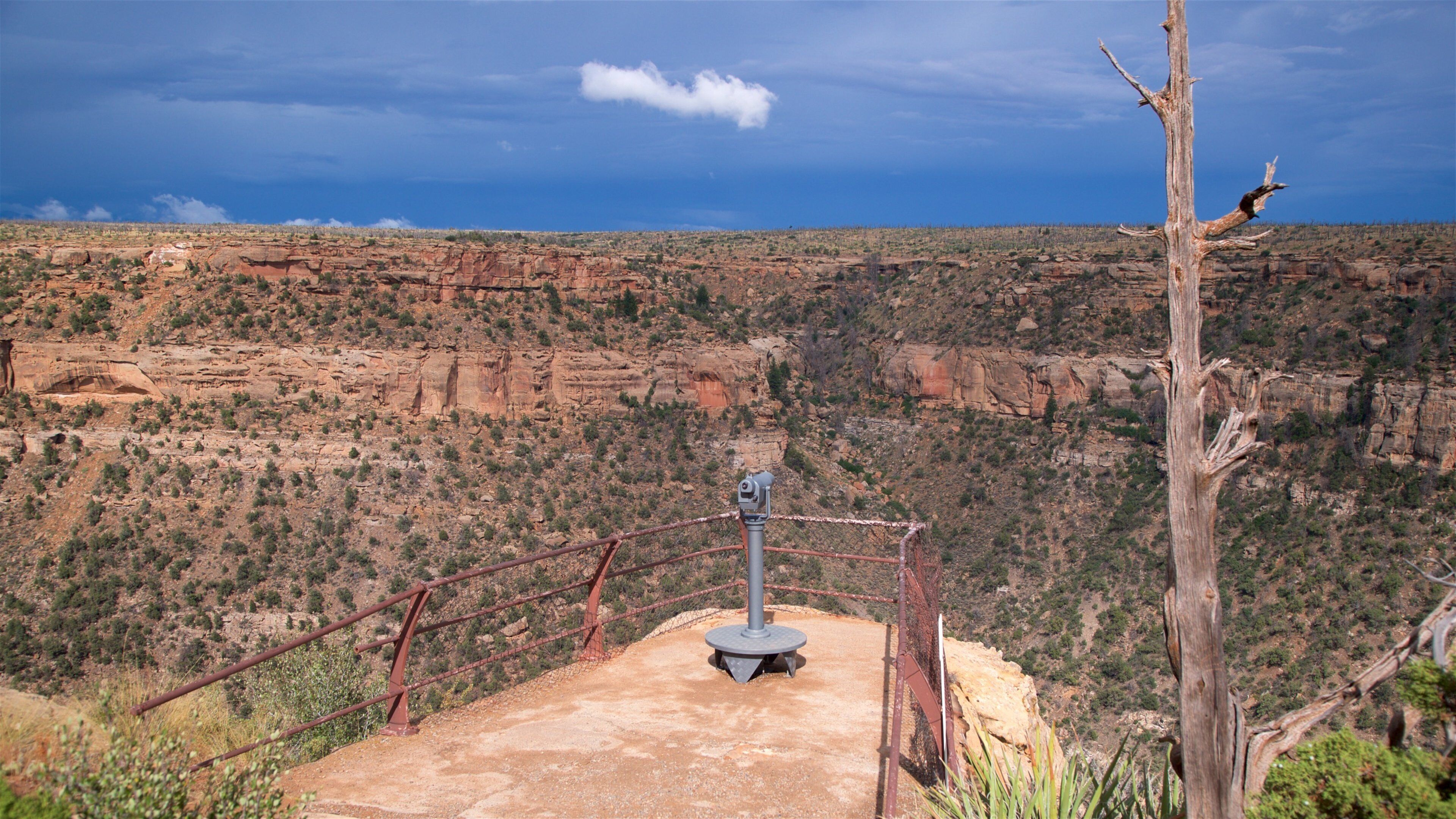 Soda Canyon Overlook Trail