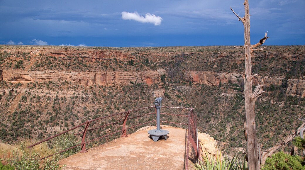 Soda Canyon Overlook Trail
