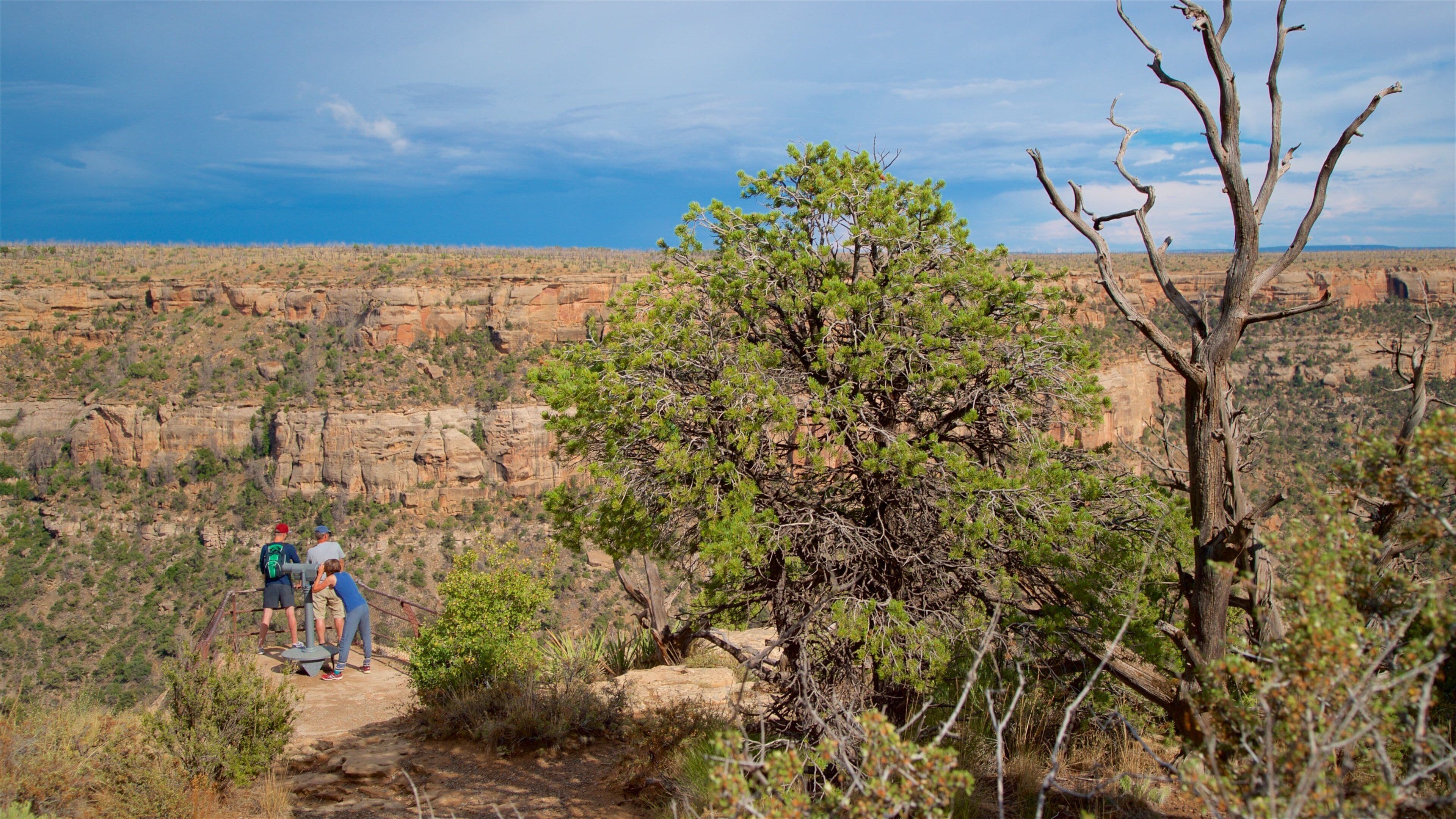 Soda Canyon Overlook Trail