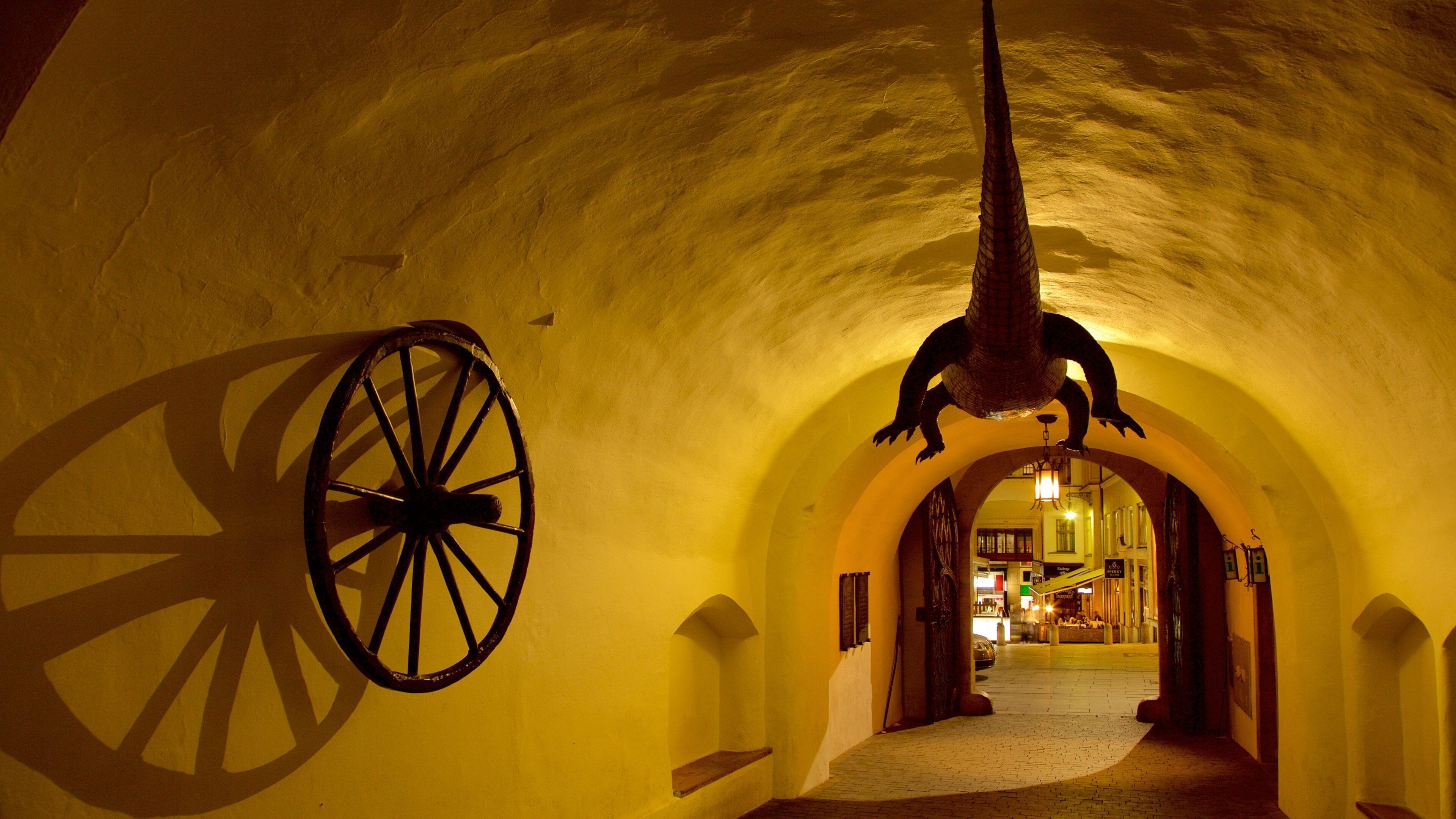 Brno which includes interior views