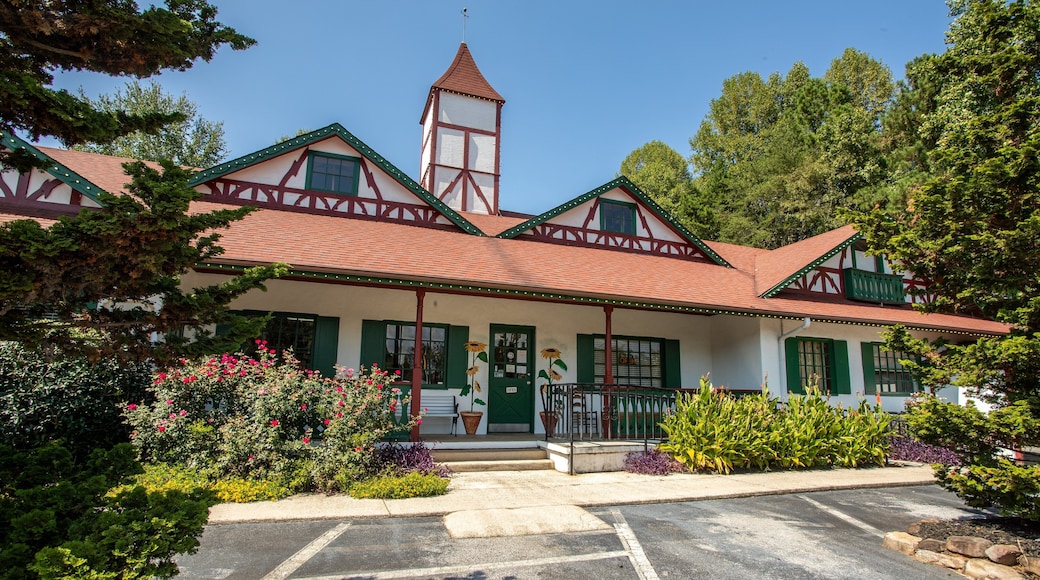 Helen Arts & Heritage Center