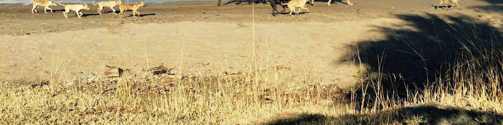 Locals traveling the beach in Nicaragua. You can rent a horse and guide to take your own ride up and down the coast of Gran Pacifica.