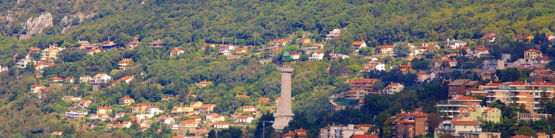 Trieste showing a city and mountains