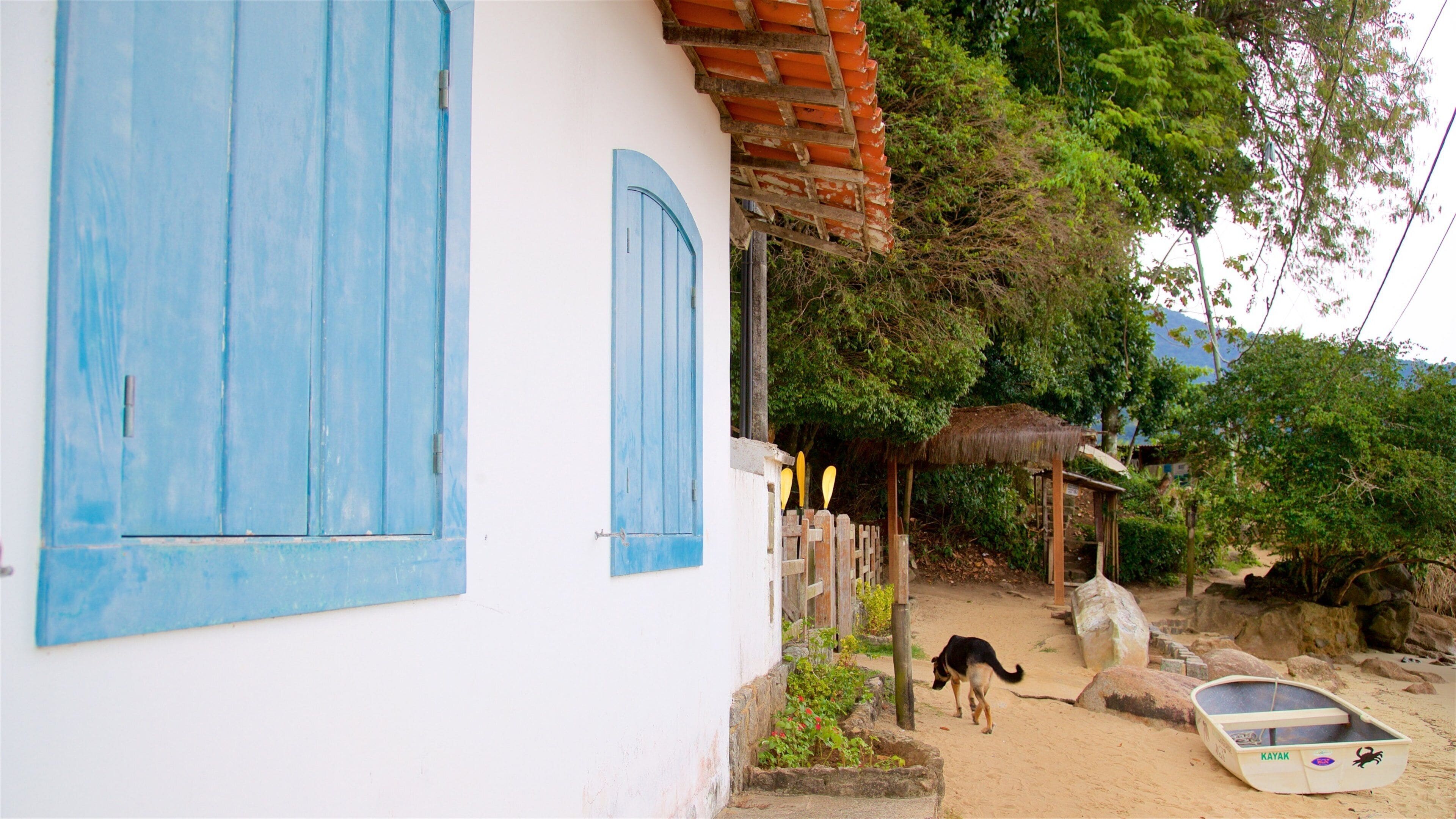 Baía da Ilha Grande que inclui uma praia de areia, uma cidade litorânea e animais fofos ou amigáveis