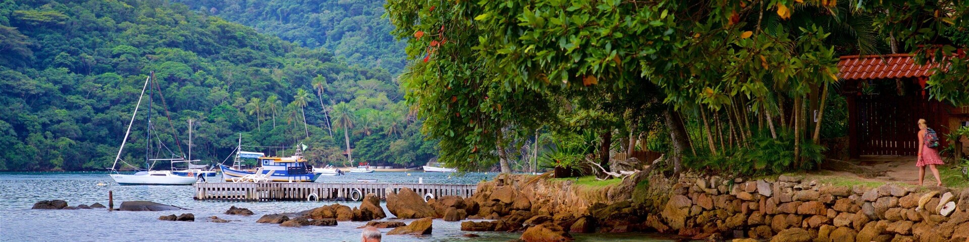 Baía da Ilha Grande que inclui paisagens litorâneas e uma praia assim como um homem sozinho