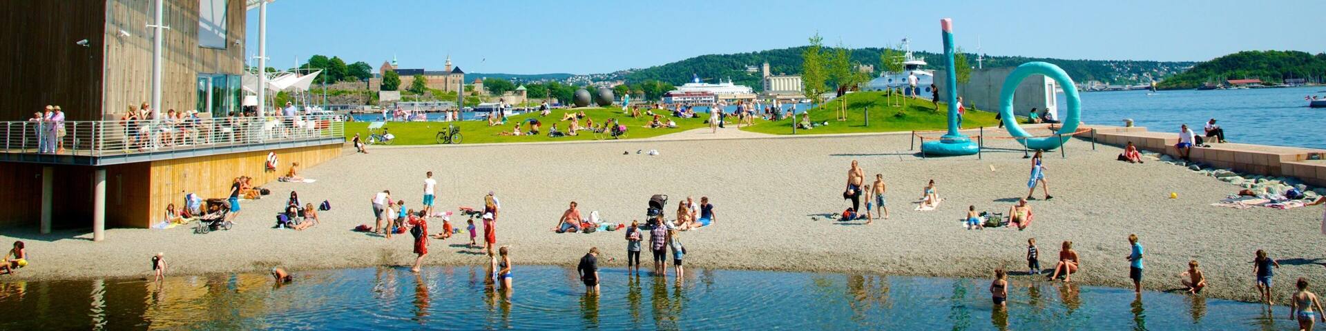 Oslo welches beinhaltet Küstenort, Sandstrand und Schwimmen