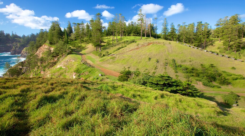 Norfolkøya som inkluderer rolig landskap og kyst