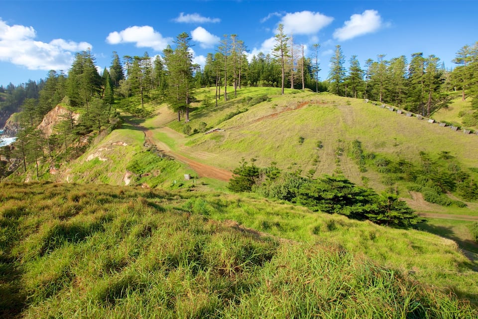 Un paysage côtier avec un sentier de terre, de l’herbe verte et des arbres.