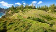A coastal landscape with a dirt path, green grass, and trees.