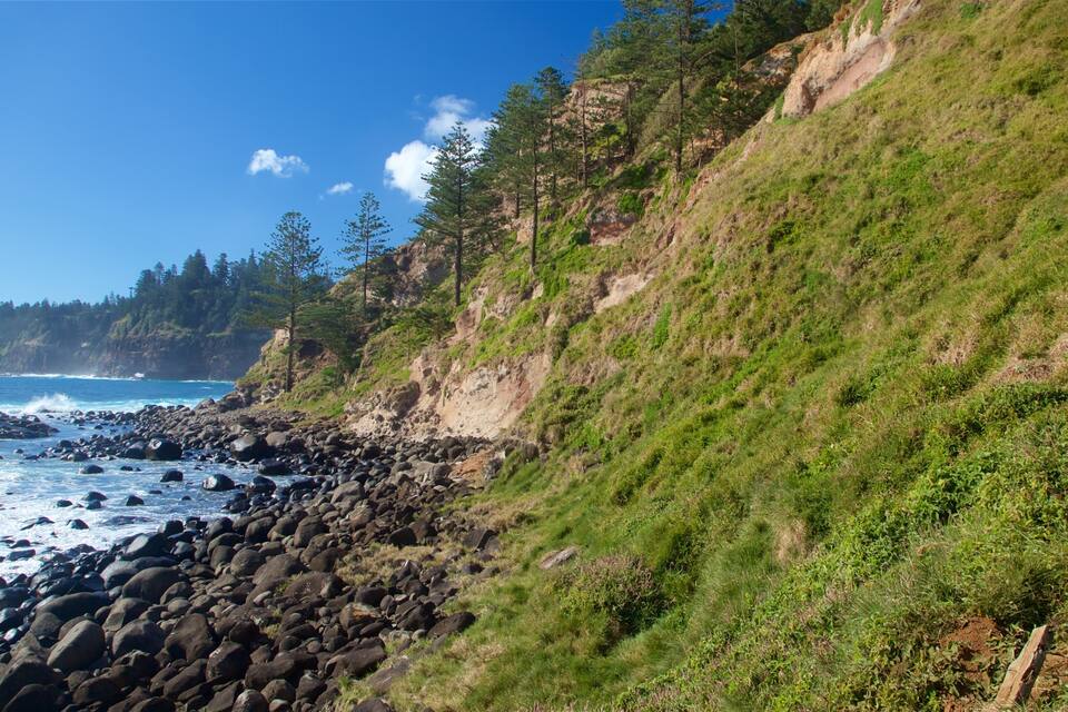 Um litoral rochoso com ondas quebrando na costa, uma encosta gramada e uma floresta ao fundo.