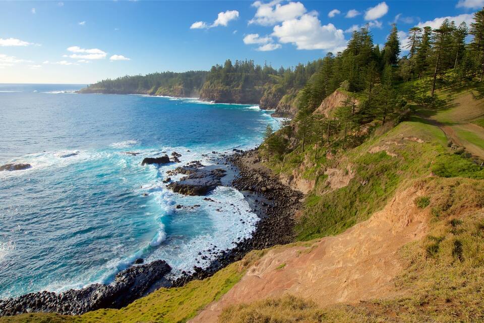 A coastal landscape with a rocky shoreline, ocean waves, and a forested hillside.