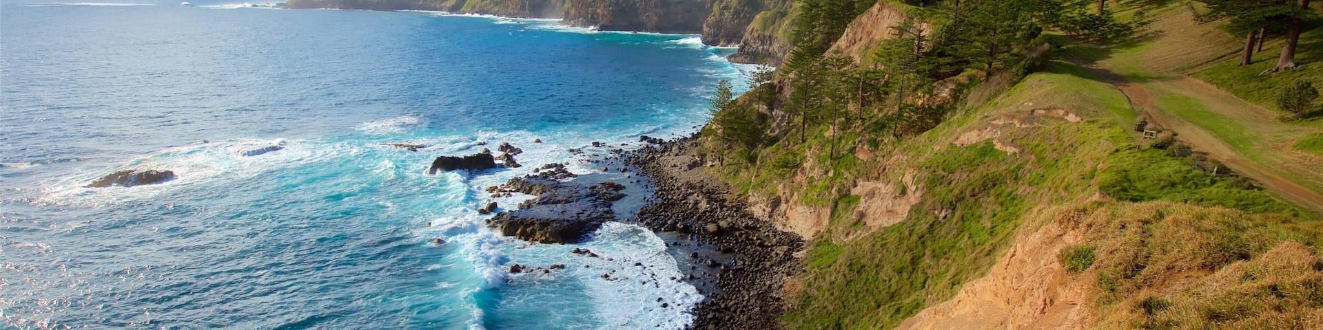 Isla Norfolk ofreciendo vistas generales de la costa y costa rocosa