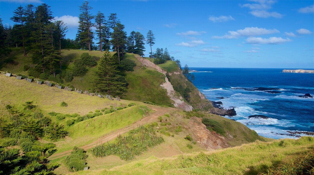 Norfolkøya som viser kyst, stenete kystlinje og rolig landskap