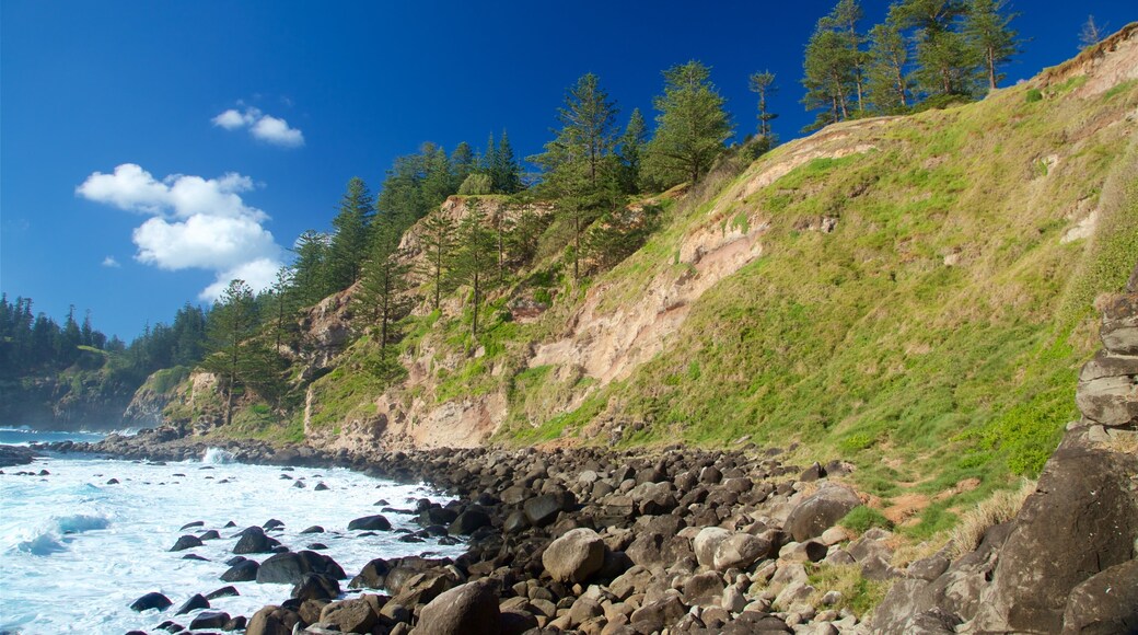 Norfolk Island featuring rocky coastline and general coastal views