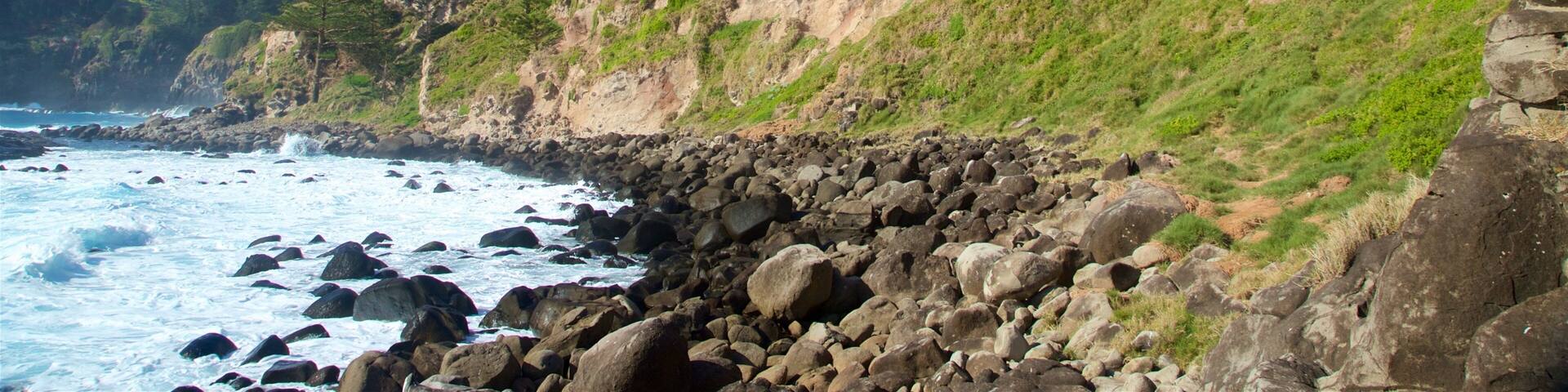 Norfolk-Insel welches beinhaltet FelskĂŒste und allgemeine KĂŒstenansicht