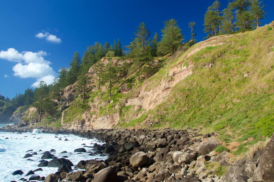 A rocky coastline with waves crashing against the shore, a grassy hillside with trees, and a clear blue sky.