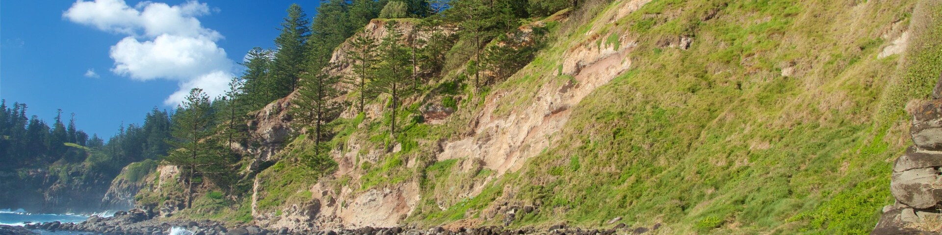 Ilha Norfolk mostrando paisagens litorâneas e litoral rochoso