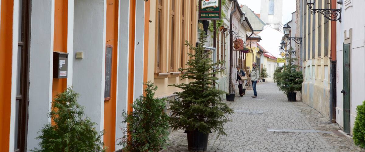 Kosice showing street scenes and a city