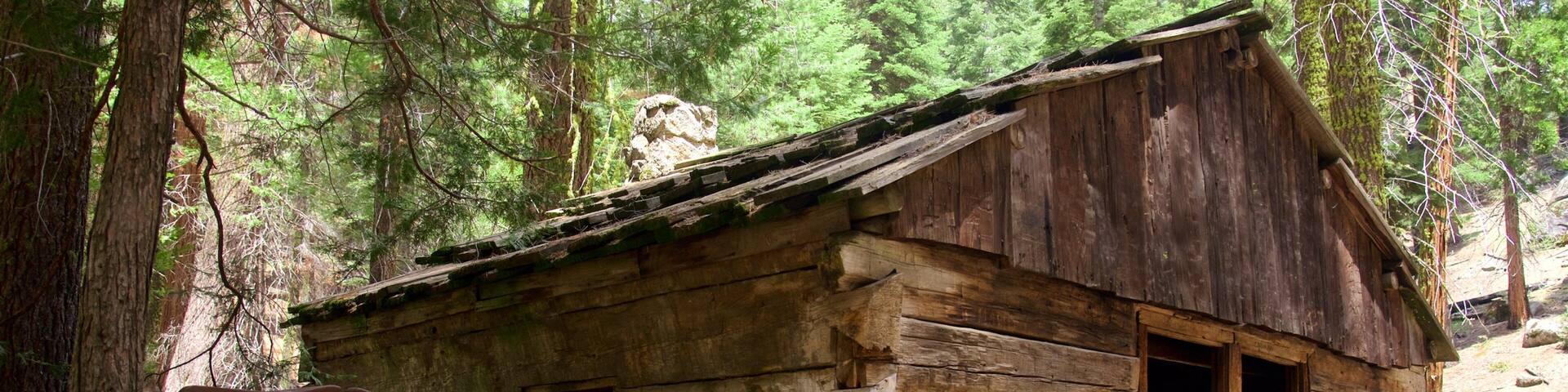 Kings Canyon National Park