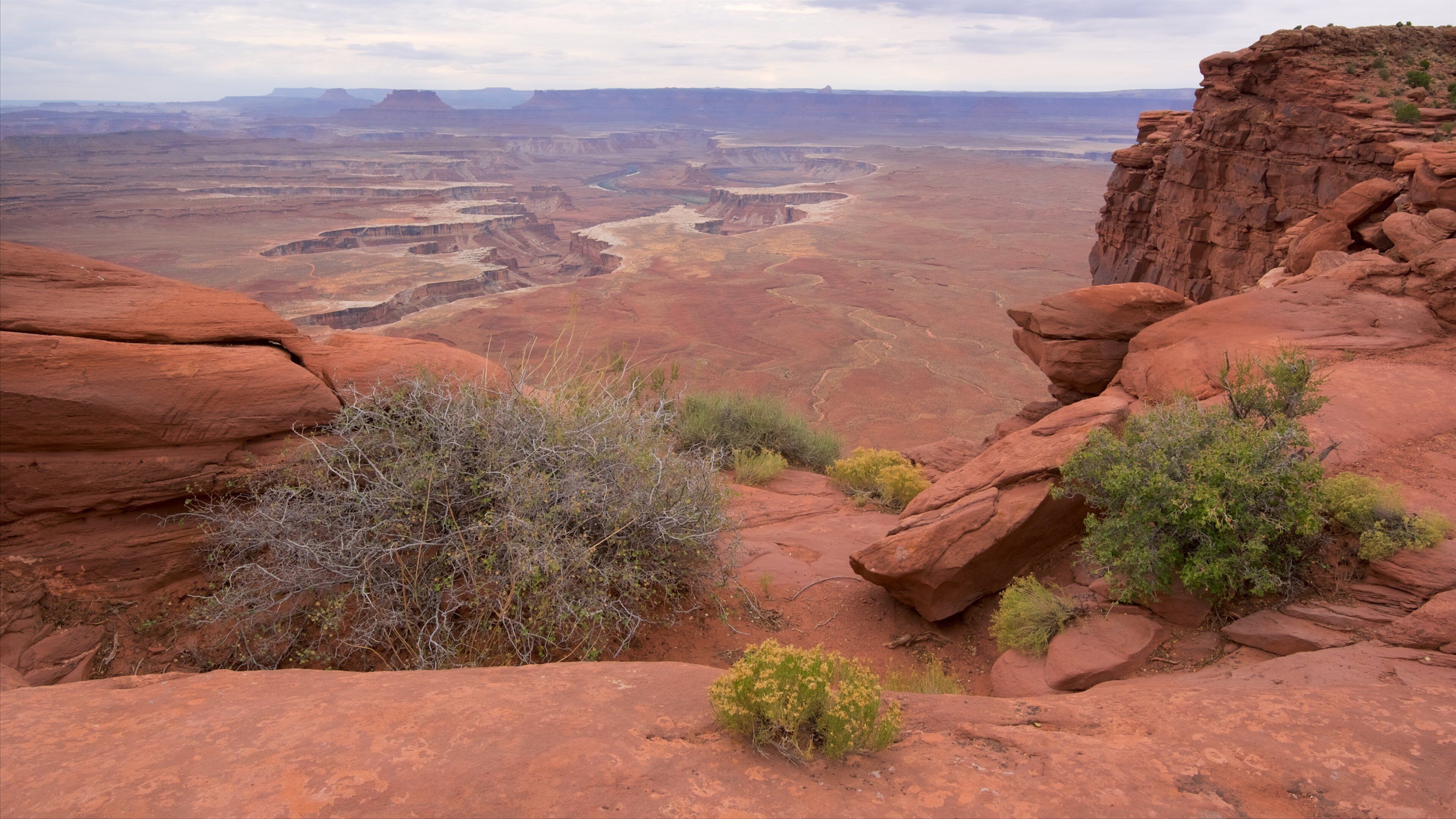 Moab montrant panoramas, scènes tranquilles et gorge ou canyon